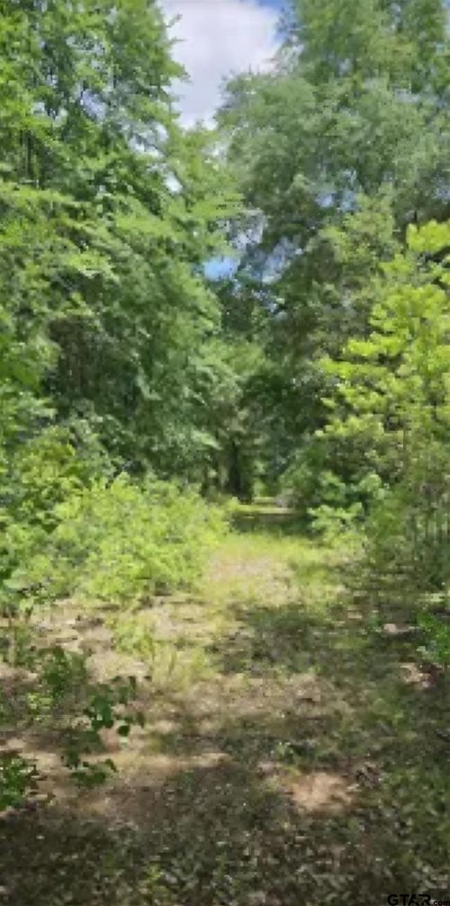 2415 S Fm 17, Alba, TX, 75410-6372 | Card Image