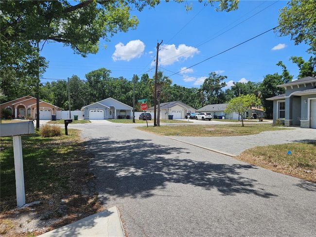 816 W Minnehaha St, House other with 3 bedrooms, 2 bathrooms and null parking in TAMPA FL | Image 19