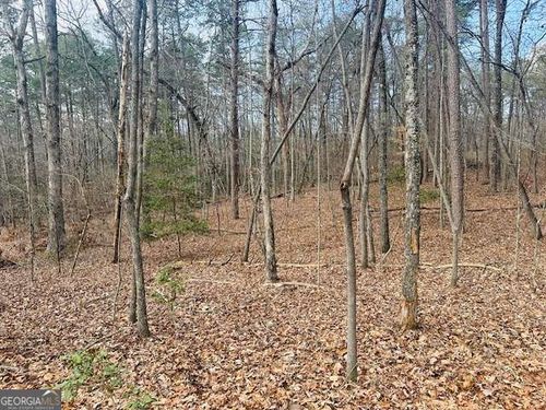 LOT 28 Fern Park Dr, Dawsonville, GA, 30534-8489 | Card Image