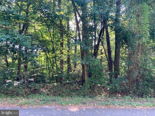 lot 215 Bay Pointe Drive, Montross, VA, 22520 | Card Image