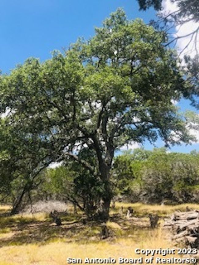 26 Mustang Crossing Dr, Home with 0 bedrooms, 0 bathrooms and null parking in Pipe Creek TX | Image 11