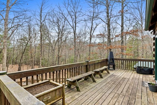 1994 Douthit Rd, Home with 3 bedrooms, 2 bathrooms and 3 parking in Mineral Bluff GA | Image 30
