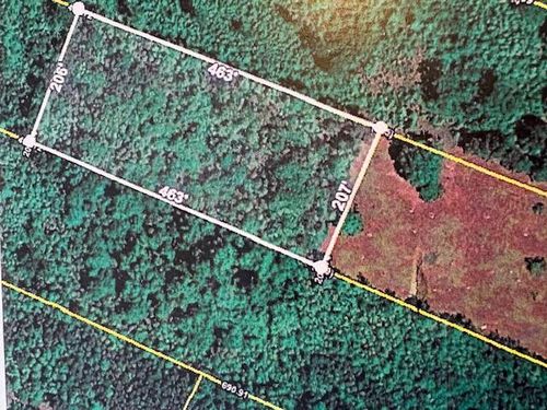 0 Youngs Rd, Eutawville, SC, 29048 | Card Image