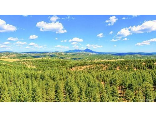 196 Freeman Dr, Florissant, CO, 80816-9527 | Card Image
