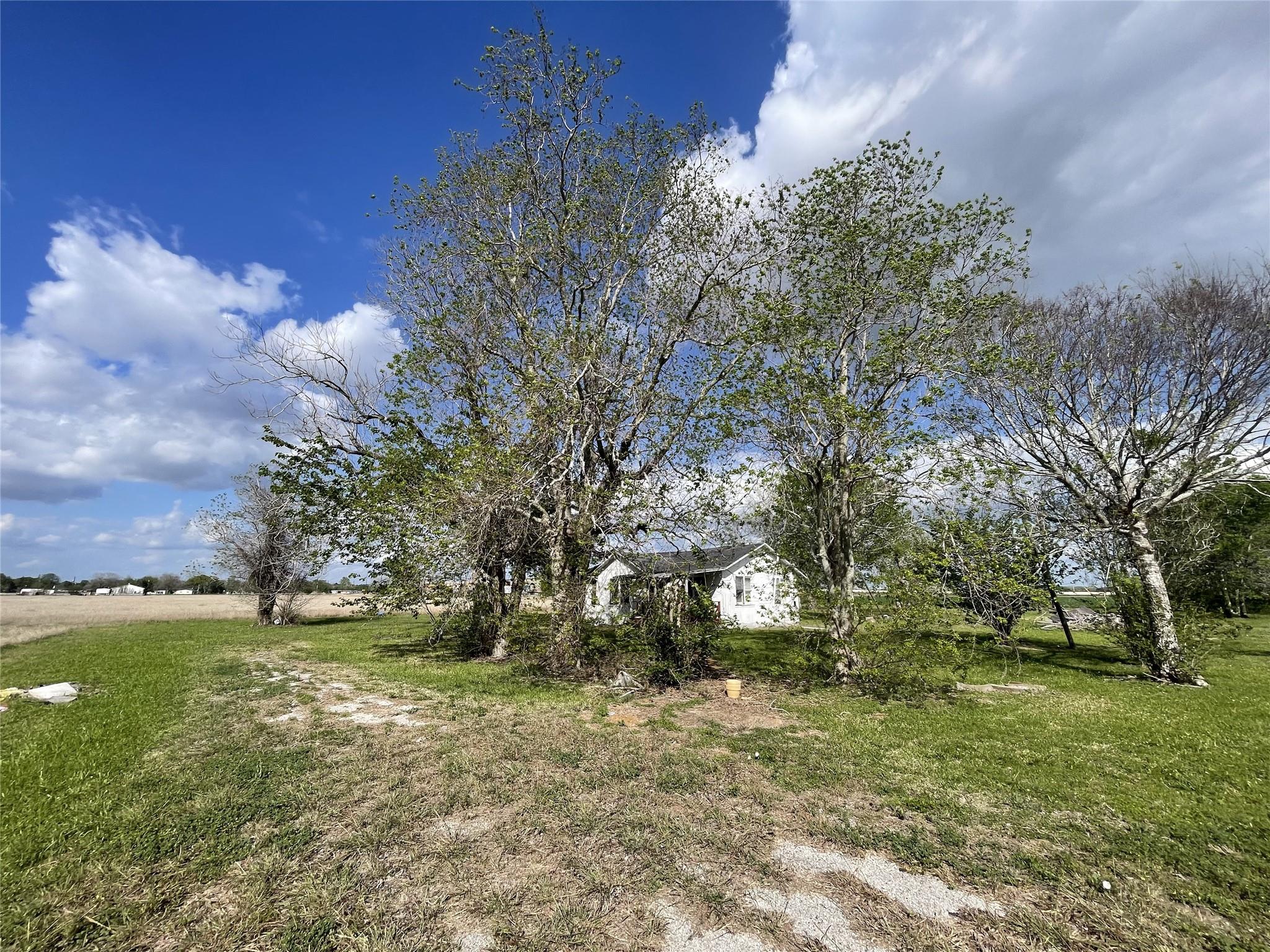 Farm in Hungerford 4