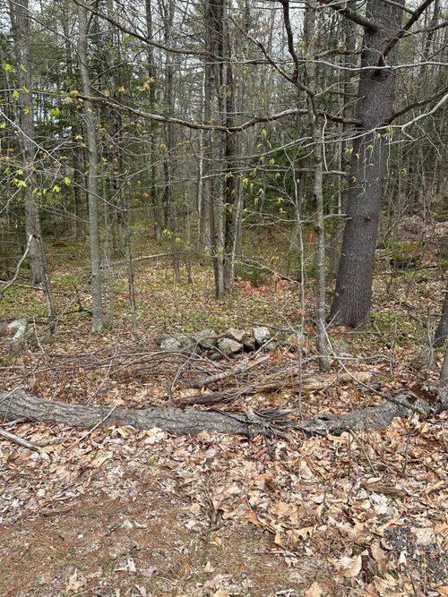 Lot #4 - 344 Moose Hill Road, Livermore Falls, ME, 04254 | Card Image