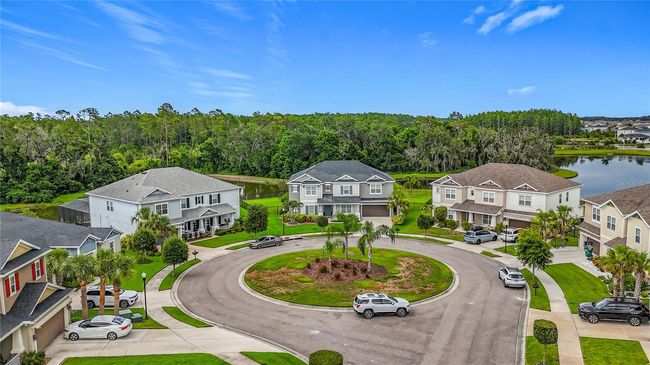 33668 Willow Point Ct, House other with 5 bedrooms, 4 bathrooms and null parking in WESLEY CHAPEL FL | Image 84