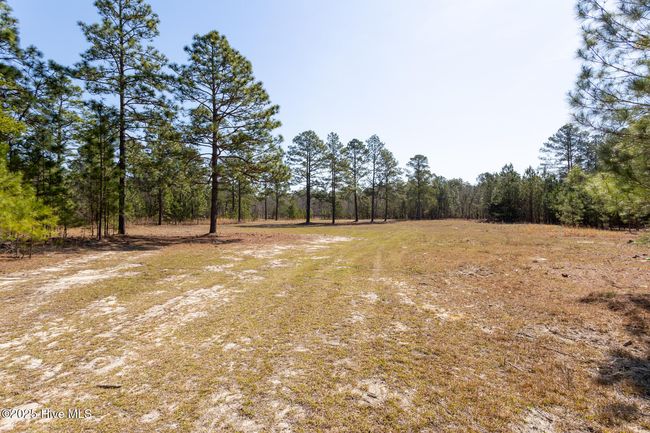 210 Palmer Grey Court, Home with 0 bedrooms, 0 bathrooms and null parking in Aberdeen NC | Image 7