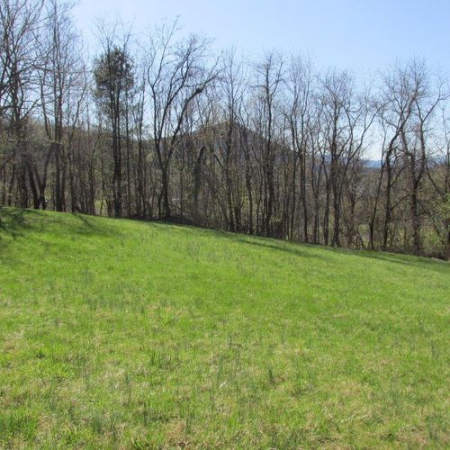 2048 Riverdale Rd, Roanoke, VA, 24014 | Card Image