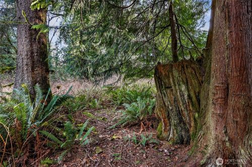 6657 N Fruitdale Rd, Sedro Woolley, WA, 98284-8970 | Card Image