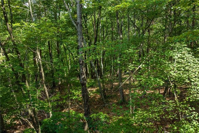 206 Mystic Trail Ln, Home with 0 bedrooms, 0 bathrooms and null parking in Jasper GA | Image 27