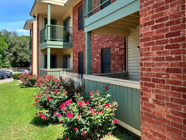 APT-204 - 13359 Pond Springs Rd, Condo with 2 bedrooms, 1 bathrooms and null parking in Austin TX | Image 11