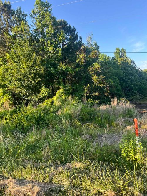 Lot 43 Sherwood Forest, Monticello, AR, 71655 | Card Image