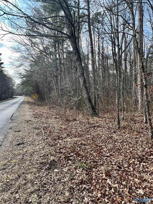 0.09 acre County Road 165, Mentone, AL, 35984 | Card Image