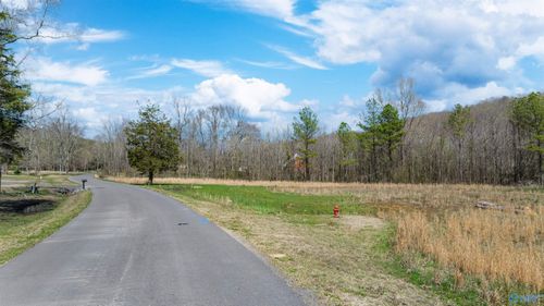 3.42 County Road 622, Valley Head, AL, 35989-5120 | Card Image