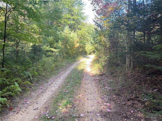 4184 Factory Rd, Home with 1 bedrooms, 0 bathrooms and null parking in Natural Bridge NY | Image 26