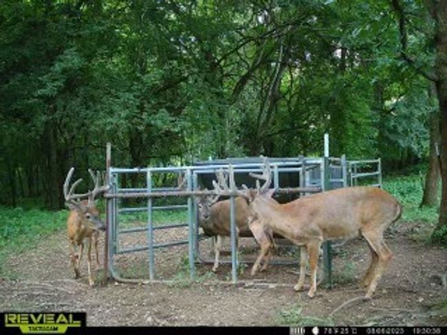 0 Fishing Ford Rd, Home with 0 bedrooms, 0 bathrooms and null parking in Belfast TN | Image 21