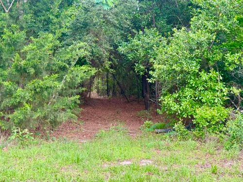 TBD County Road 1375, Warren, TX, 77664 | Card Image