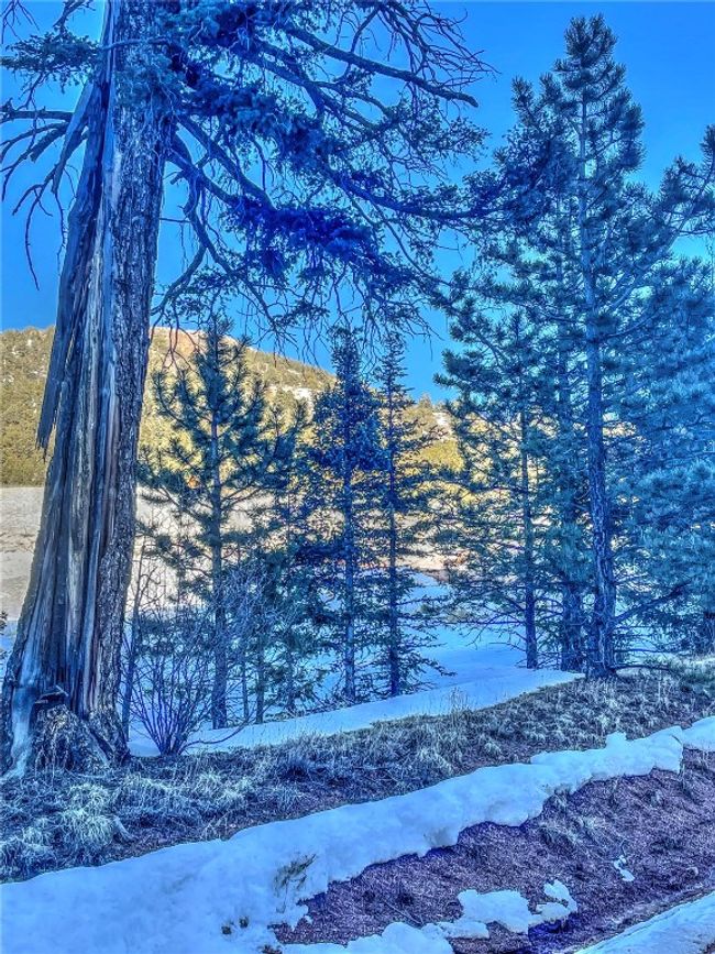1174 Monarch Dr, Home with 0 bedrooms, 0 bathrooms and null parking in Cripple Creek CO | Image 16