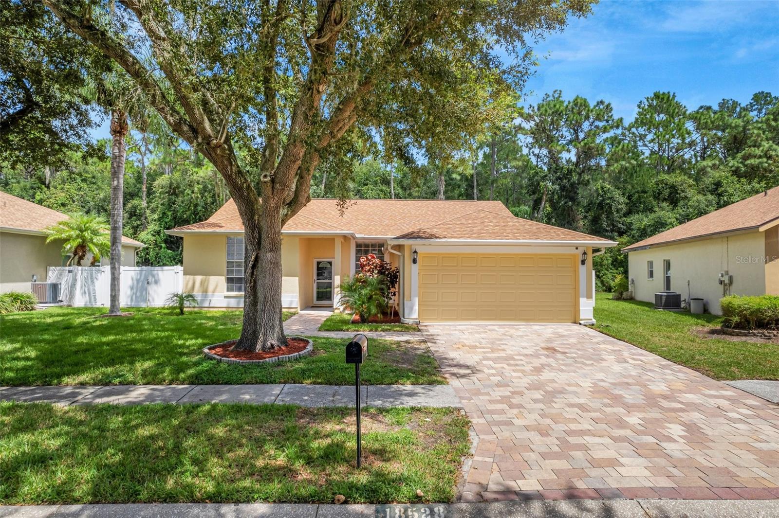 Otterwood Ave, Tampa, FL 33647