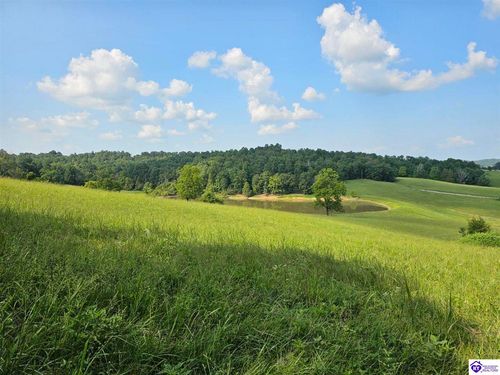 Tract 8 Troutman Lane, Clarkson, KY, 42726-9999 | Card Image