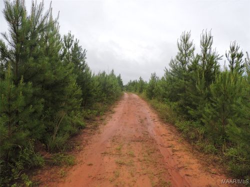 0 Montezuma Rd, Greenville, AL, 36037 | Card Image