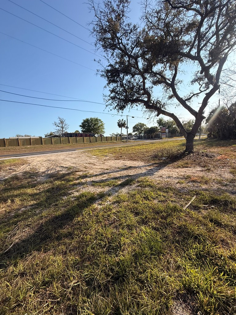 Land in Steinhatchee 2