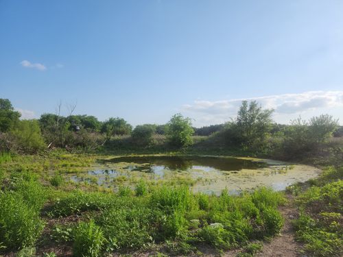 4465 County Road 185, Stephenville, TX, 76401 | Card Image