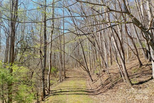Tract 1, 2 & 3 Top Drop Lane, Sylva, NC, 28779 | Card Image