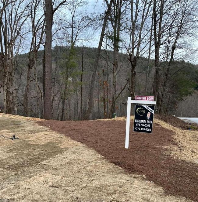 194 Spring Crest Rd, House other with 3 bedrooms, 3 bathrooms and 2 parking in Cleveland GA | Image 9