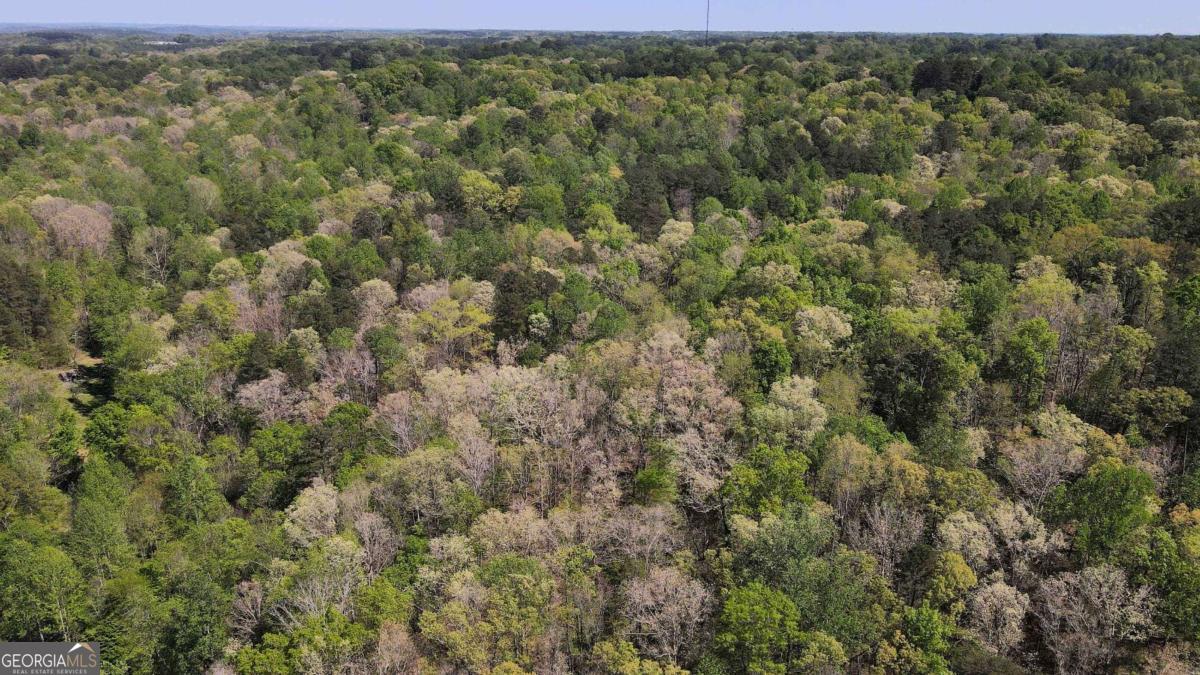 Land in Toccoa 2