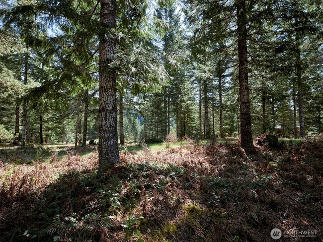 Acreage | Image 15