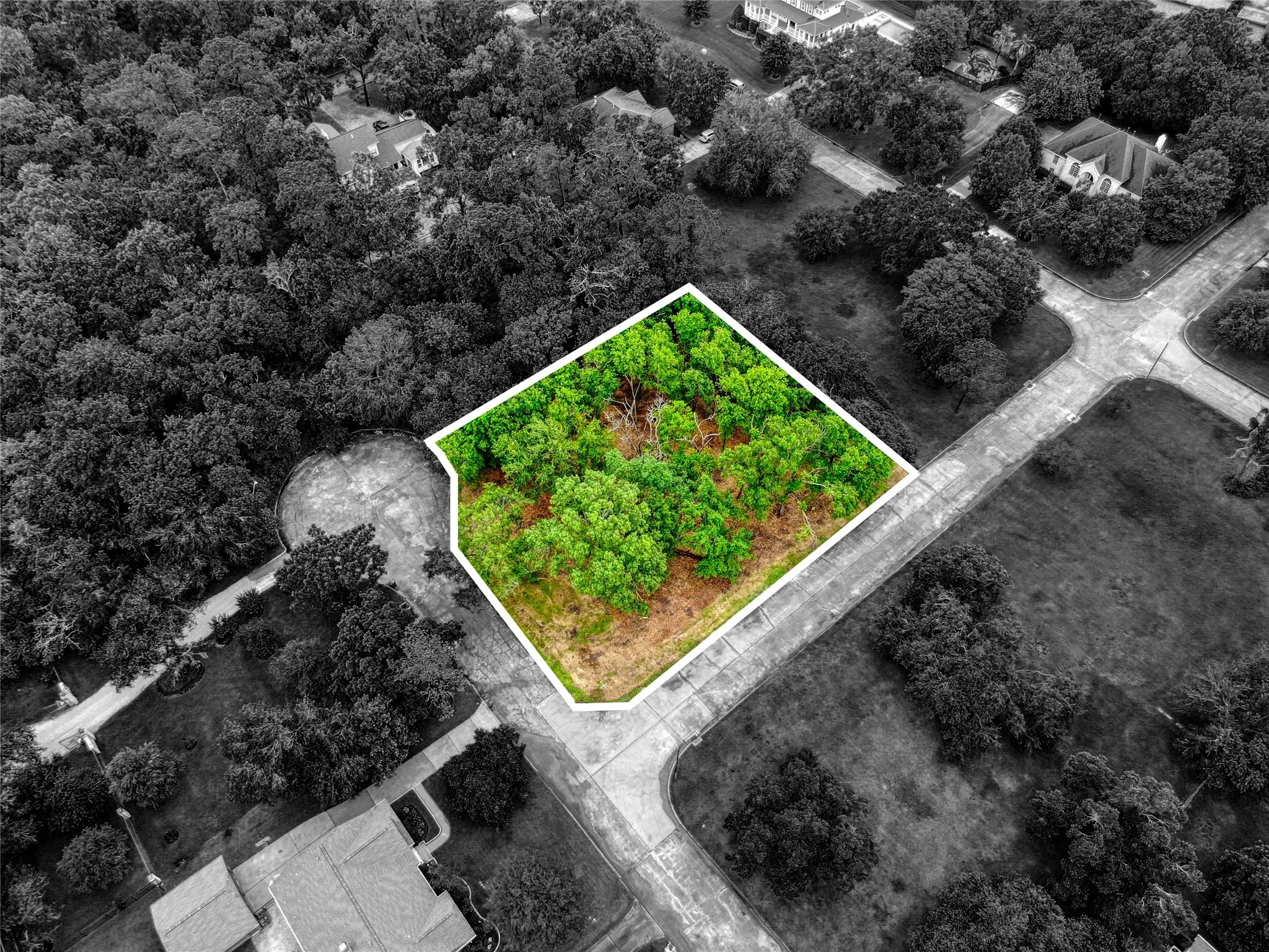 Land in Friendswood 4