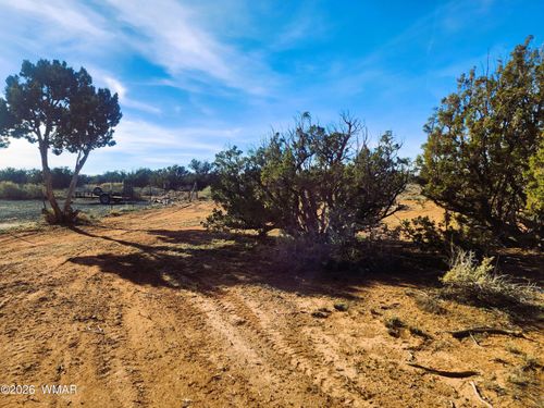 4726 Hay Hollow Rd, Snowflake, AZ, 85937-6286 | Card Image
