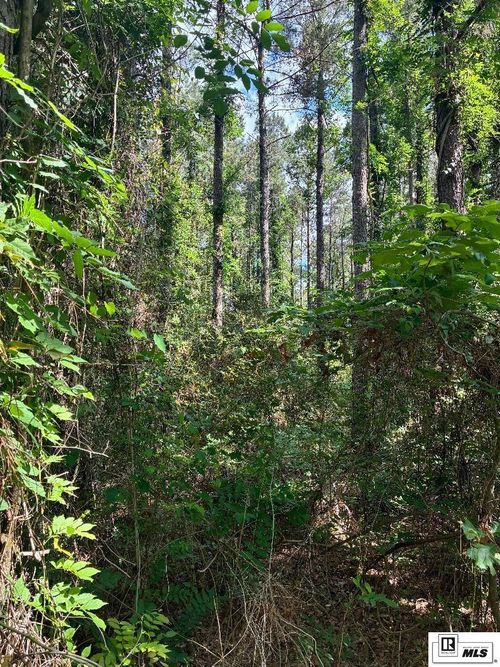 00 Arnold Rd, Choudrant, LA, 71227 | Card Image