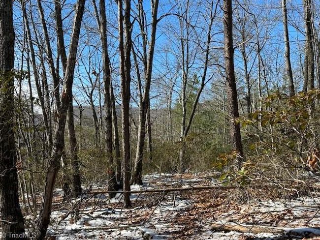 0 Old Railroad Grade Rd, Home with 0 bedrooms, 0 bathrooms and null parking in Thurmond NC | Image 9