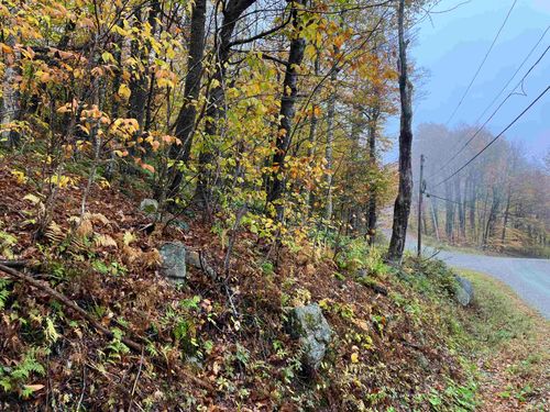 564 Upper Dam Rd, Wilmington, VT, 05363 | Card Image
