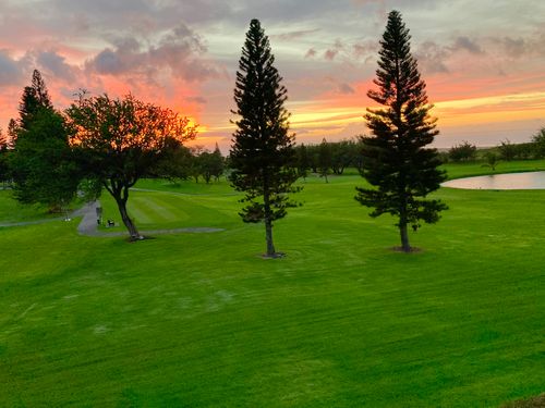 a311-68-1754 Melia St, WAIKOLOA, HI, 96738-5543 | Card Image