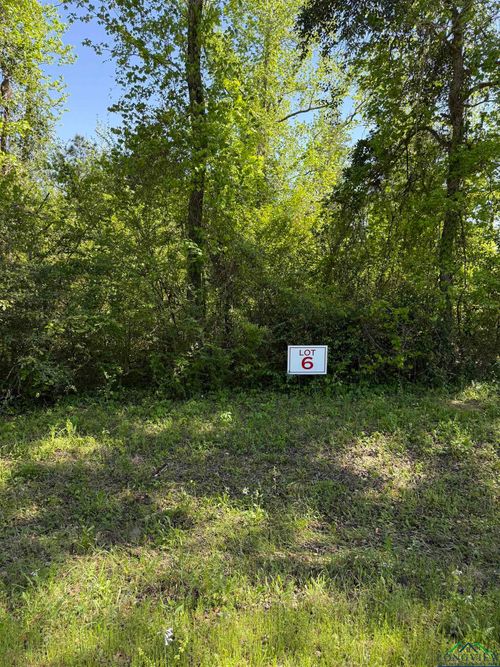 TBD LOT 6 S Fm 839, Henderson, TX, 75652 | Card Image