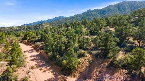 Lot 170 N Trap Springs Rd, Hackberry, AZ, 86411-7038 | Card Image
