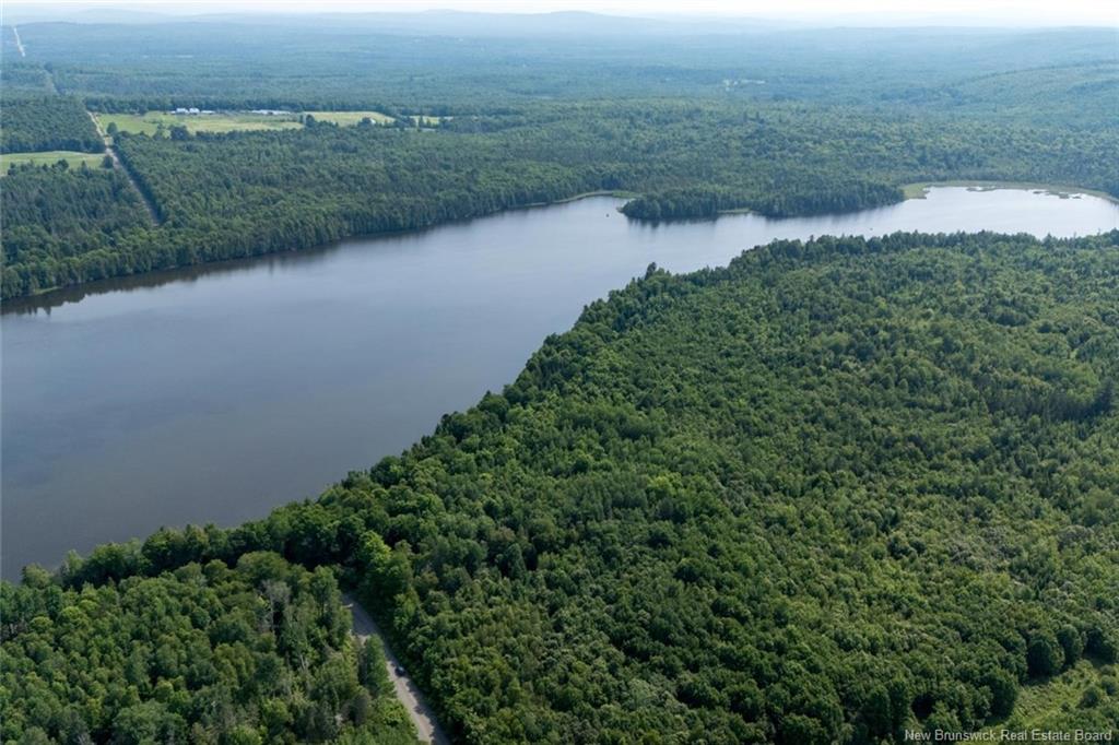 Land in Upper Skiff Lake 2