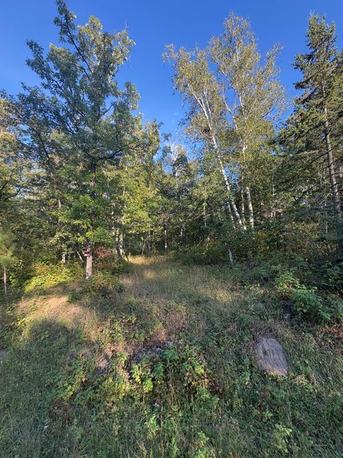 TBD Elm Trl, Nevis, MN, 56467 | Card Image