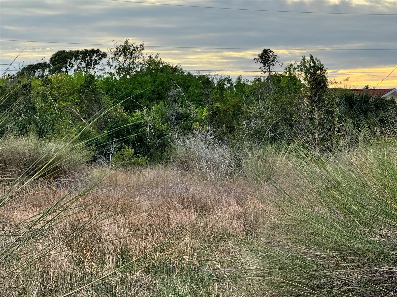 Land in PORT CHARLOTTE