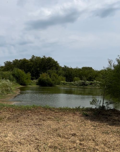 277 Rs County Road 3374, Emory, TX, 75440 | Card Image