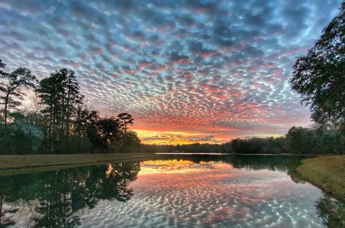 88 Tomotley Barony Dr, Seabrook, SC, 29940-2308 | Card Image