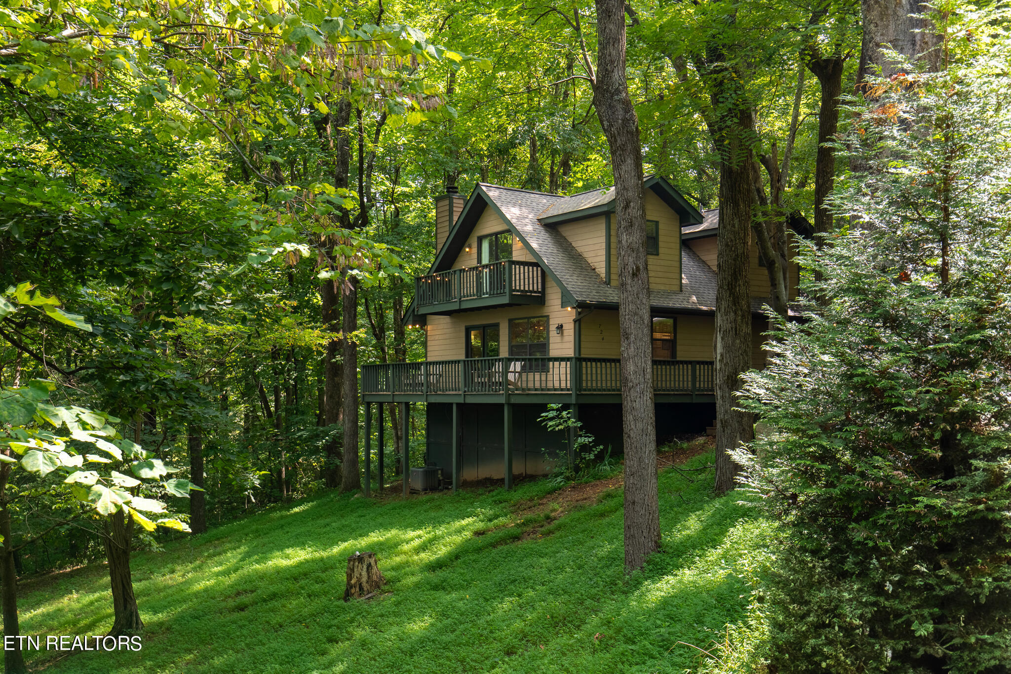 Alpine Dr, Sevierville, TN 37876