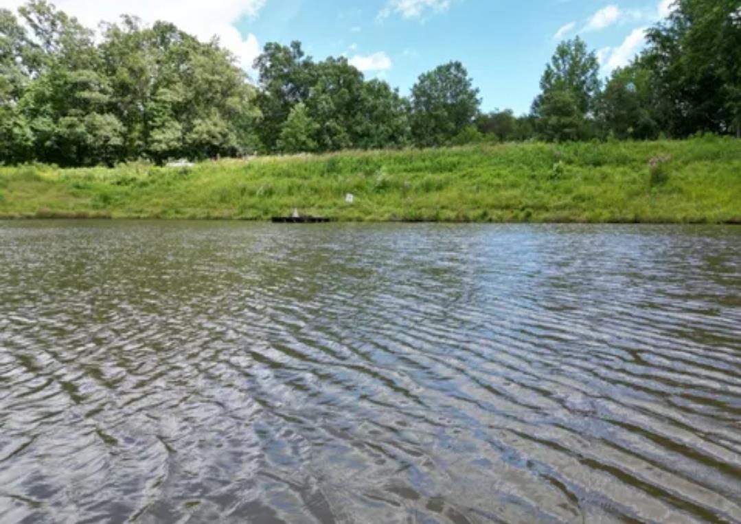 Land in Pickens 4