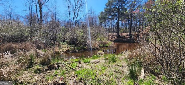 5757 Jeffersonville Rd, Home with 0 bedrooms, 0 bathrooms and null parking in Dry Branch GA | Image 18