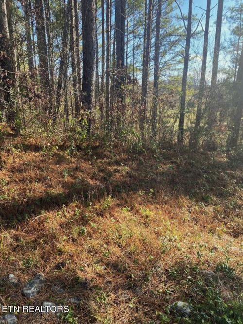 0 Tommy Loop Rd, Sweetwater, TN, 37874 | Card Image