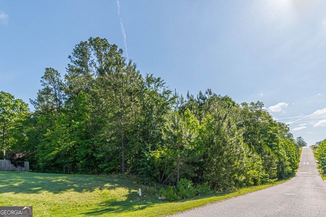 LOT-131 - 0 Hunter Welch Pkwy, Home with 0 bedrooms, 0 bathrooms and null parking in Luthersville GA | Image 7